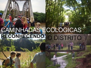 CAMINHADAS ECOLÓGICAS RECONHECENDO O DISTRITO 