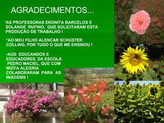 AOS  EDUCANDOS E EDUCADORES, DA ESCOLA PEDRO MACIEL, QUE COM MUITA ALEGRIA  COLABORARAM  PARA  AS IMAGEMS ! AGRADECIMENTOS... *AS PROFESSORAS ERONITA BARCELOS E SOLANGE  RUFINO,  QUE SOLICITARAM ESTA PRODUÇÃO DE TRABALHO ! *AO MEU FILHO ALENCAR SCHUSTER COLLING, POR TUDO O QUE ME ENSINOU ! 