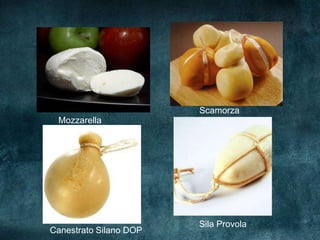 Scamorza
 Mozzarella




                        Sila Provola
Canestrato Silano DOP
 