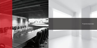 Proyectos Especiales
 