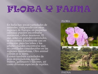 FLORA Y FAUNAEn Italia hay pocas variedades de animales, comparado con otras regiones de Europa; en pequeñas cantidad pueden encontrarse marmotas, cabras montesas. El oso, antes en grandes cantidades, se encuentra actualmente casi en extinción, pero los lobos y los jabalíes pueden encontrarse aun en cantidades considerables en las regiones montañosas. Otro animal común es la zorra.Existen también variedades de aves depredadoras, águilas, buitres, gallinazos y falcones, así como diversas especies de reptiles.FLORAFAUNA