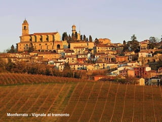 Monferrato - Vignale al tramonto 