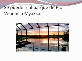 Se puede ir al parque de Rio
Venencia Myakka.
 