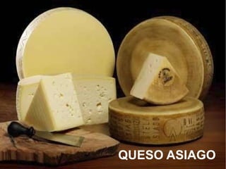 QUESO ASIAGO
 