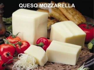 QUESO MOZZARELLA
 