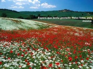 Espero que tenha gostado. Pelas fotos, pela música. 