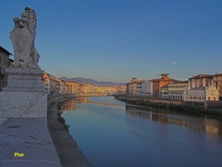 Pise
 