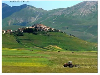 Castelluccio di Norcia
 