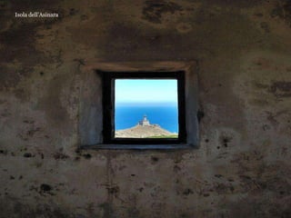 Isola dell’Asinara
 