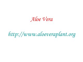 Aloe Vera
http://www.aloeveraplant.org
 