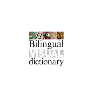 Italian english bilingual visual dictionary (dk visual dictionaries) | PDF
