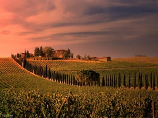 TUSCANY
 