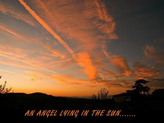 AN ANGEL LYING IN THE SUN.......
 