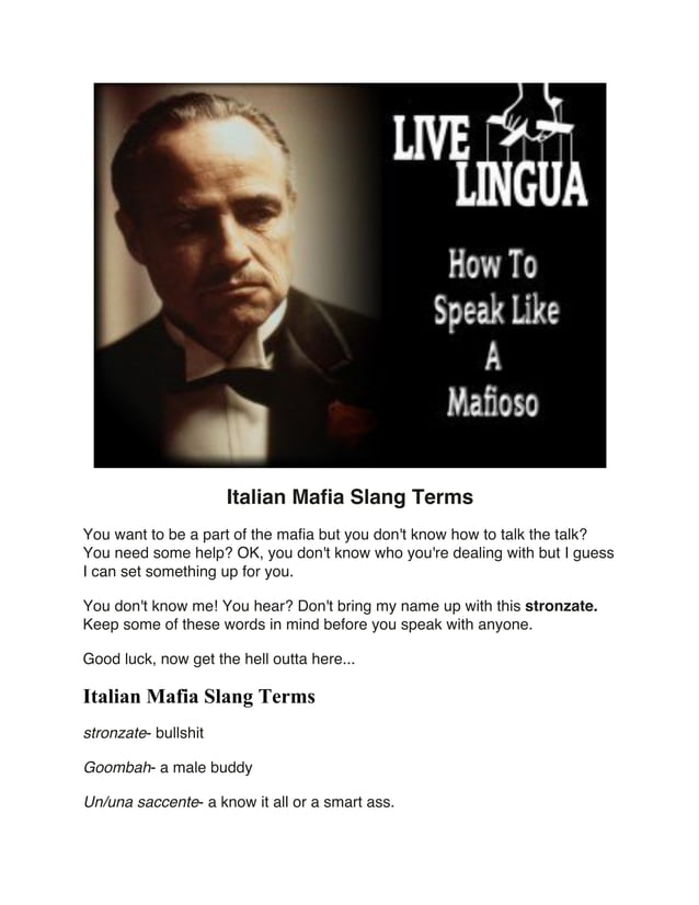 Italian Mafia Slang Terms PDF