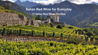 Italian Red Wine for Everyday
11 Italian Red Wines Profiled
 