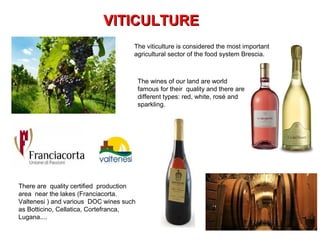 There are quality certified production
area near the lakes (Franciacorta.
Valtenesi ) and various DOC wines such
as Botticino, Cellatica, Cortefranca,
Lugana....
The viticulture is considered the most important
agricultural sector of the food system Brescia.
The wines of our land are world
famous for their quality and there are
different types: red, white, rosé and
sparkling.
VITICULTUREVITICULTURE
 