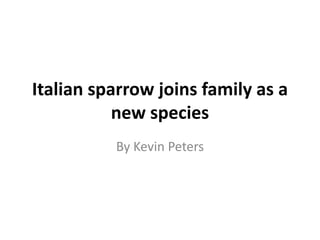 Italian sparrow joins family as a
           new species
          By Kevin Peters
 