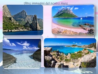 Altre immagini del nostro mare
 