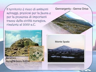 Il territorio è ricco di ambienti
selvaggi, preziosi per la fauna e
per la presenza di importanti
tracce della civiltà nuragica,
risalente al 2000 a.C.
Monte Spada
Gennargentu - Genna Orisa
Barumini
Nuraghe Santu Antine
 