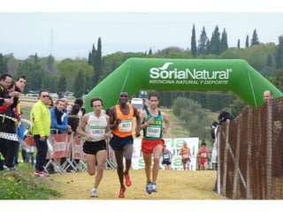 Italica 2010 Guerra-Garcia-Bett1