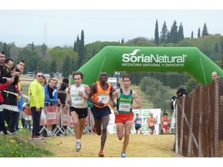 Italica 2010 Guerra-Garcia-Bett1