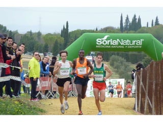 Italica 2010 Guerra-Garcia-Bett1