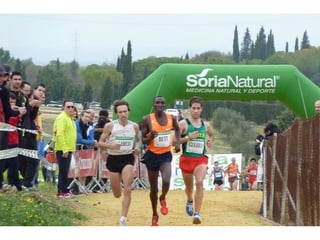 Italica 2010 Guerra-Garcia-Bett1