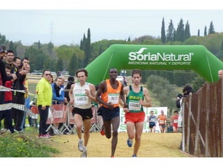 Italica 2010 Guerra-Garcia-Bett1