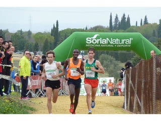 Italica 2010 Guerra-Garcia-Bett1