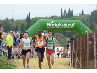 Italica 2010 Guerra-Garcia-Bett1