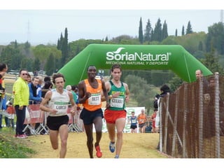 Italica 2010 Guerra-Garcia-Bett1