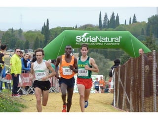 Italica 2010 Guerra-Garcia-Bett1