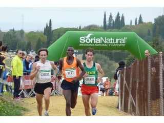 Italica 2010 Guerra-Garcia-Bett1