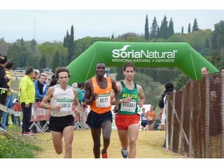 Italica 2010 Guerra-Garcia-Bett1