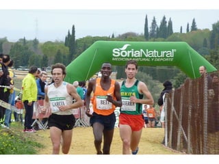 Italica 2010 Guerra-Garcia-Bett1