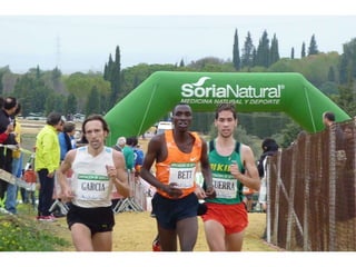 Italica 2010 Guerra-Garcia-Bett1