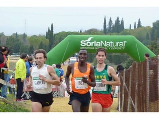 Italica 2010 Guerra-Garcia-Bett1