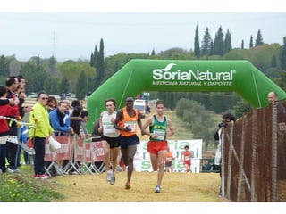 Italica 2010 Guerra-Garcia-Bett1