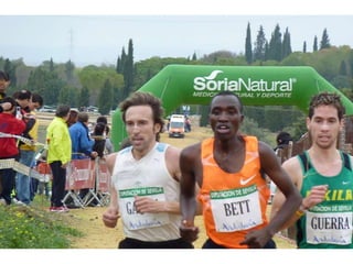 Italica 2010 Guerra-Garcia-Bett1