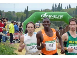 Italica 2010 Guerra-Garcia-Bett1
