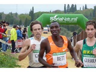 Italica 2010 Guerra-Garcia-Bett1