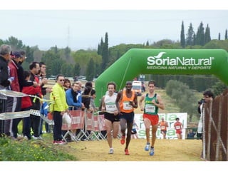 Italica 2010 Guerra-Garcia-Bett1