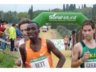 Italica 2010 Guerra-Garcia-Bett1