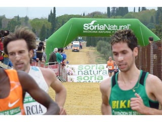 Italica 2010 Guerra-Garcia-Bett1