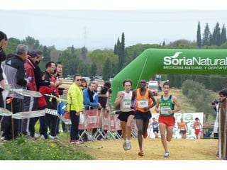 Italica 2010 Guerra-Garcia-Bett1