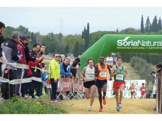 Italica 2010 Guerra-Garcia-Bett1