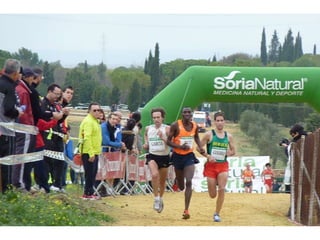 Italica 2010 Guerra-Garcia-Bett1