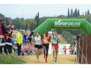 Italica 2010 Guerra-Garcia-Bett1