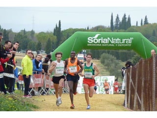 Italica 2010 Guerra-Garcia-Bett1