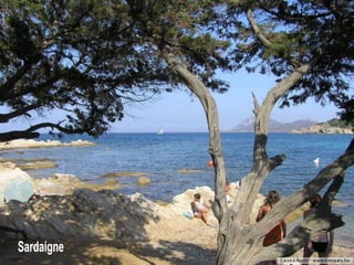 Sardaigne